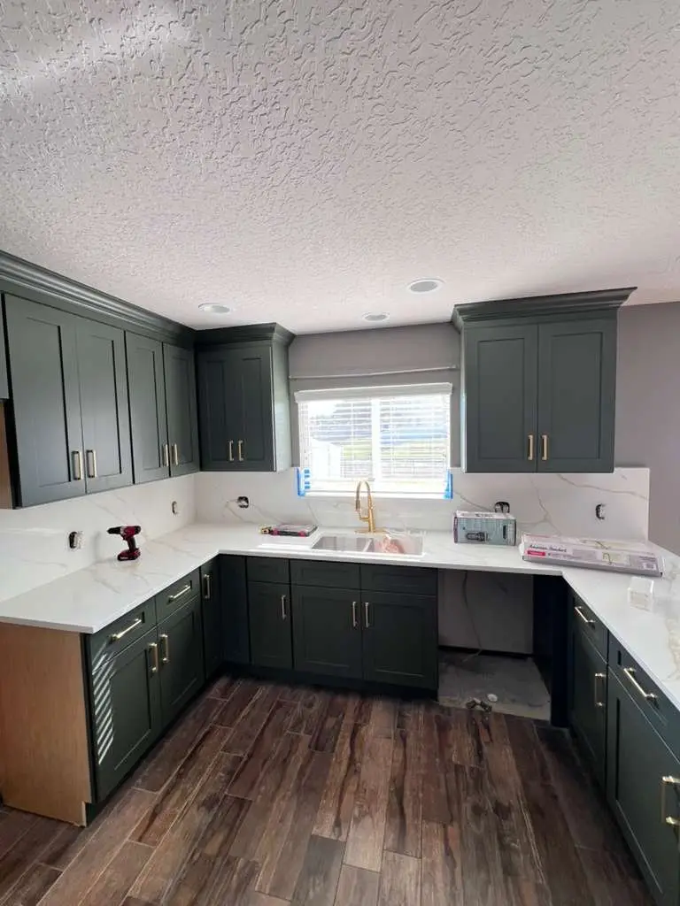 U-shaped green kitchen cabinets in a Tampa home